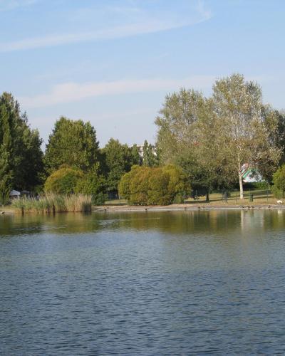 A scenic view of a park featuring a large pond or lake with reeds along the shore, surrounded by various trees and greenery under a blue sky.