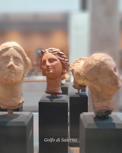 A close-up photograph of several ancient terracotta busts and heads displayed on black pedestals inside a museum case, with a "gds golfo di salerno" logo in the top-left corner and "Golfo di Salerno" text at the bottom.