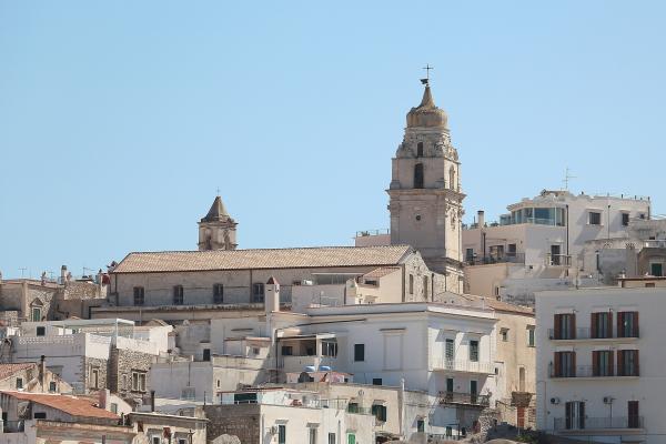 Cattedrale di Santa Maria Assunta