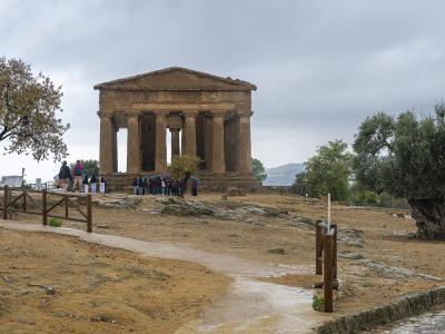 A panoramic view of the Valley of the Temples archaeological site in Agrigento, Sicily, featuring the Temple of Concordia prominently situated on a hilltop amidst olive groves and other ruins, with the modern city and coastline visible in the back