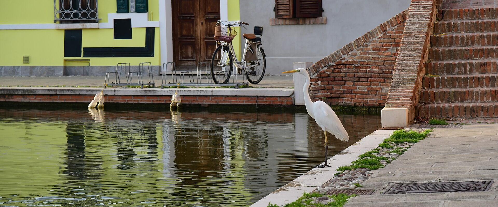 Comacchio