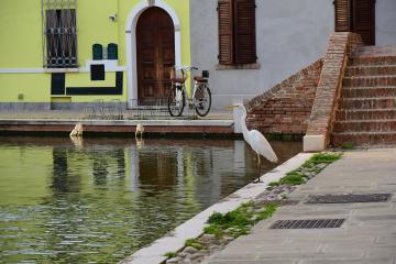 Comacchio