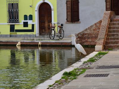 Comacchio