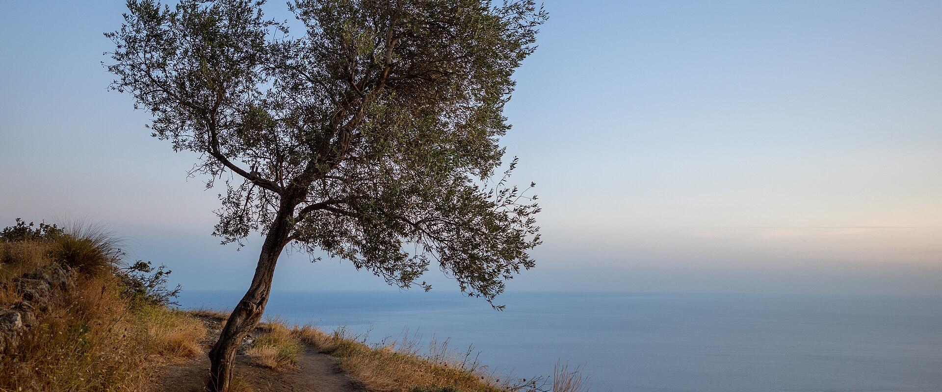 Sentiero degli Dei (Path of the Gods)