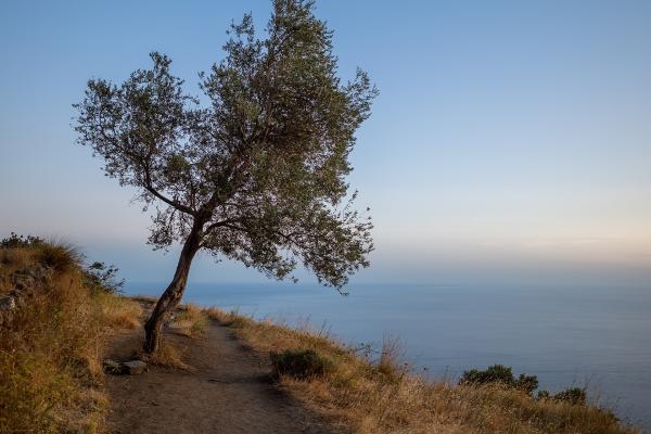 Sentiero degli Dei (Path of the Gods)