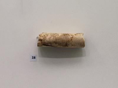 A close-up photograph of an ancient bone artifact, specifically a cylindrical bone handle, displayed on a white museum background with a small label reading "2.6".