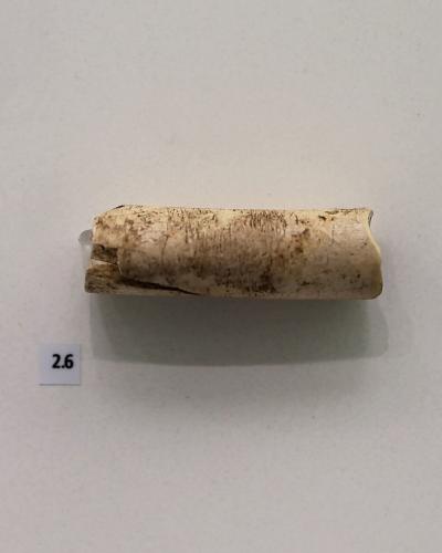 A close-up photograph of an ancient bone artifact, specifically a cylindrical bone handle, displayed on a white museum background with a small label reading "2.6".