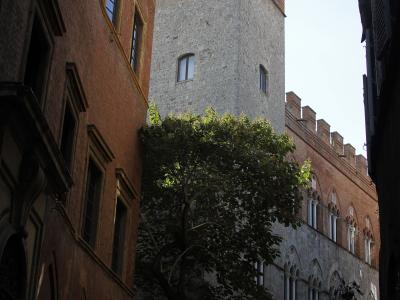 A low-angle view of a historic stone and brick palace with crenellated towers and Gothic arched windows, partially obscured by a large tree, with people visible at street level.