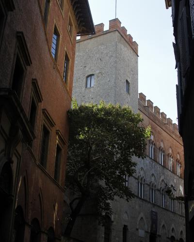 A low-angle view of a historic stone and brick palace with crenellated towers and Gothic arched windows, partially obscured by a large tree, with people visible at street level.