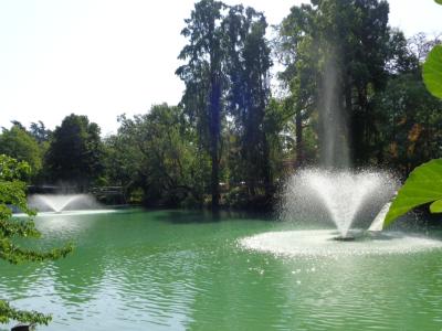A sunlit park scene featuring a green pond with two active fountains spraying water, surrounded by dense trees and foliage, with large green leaves framing the right foreground.