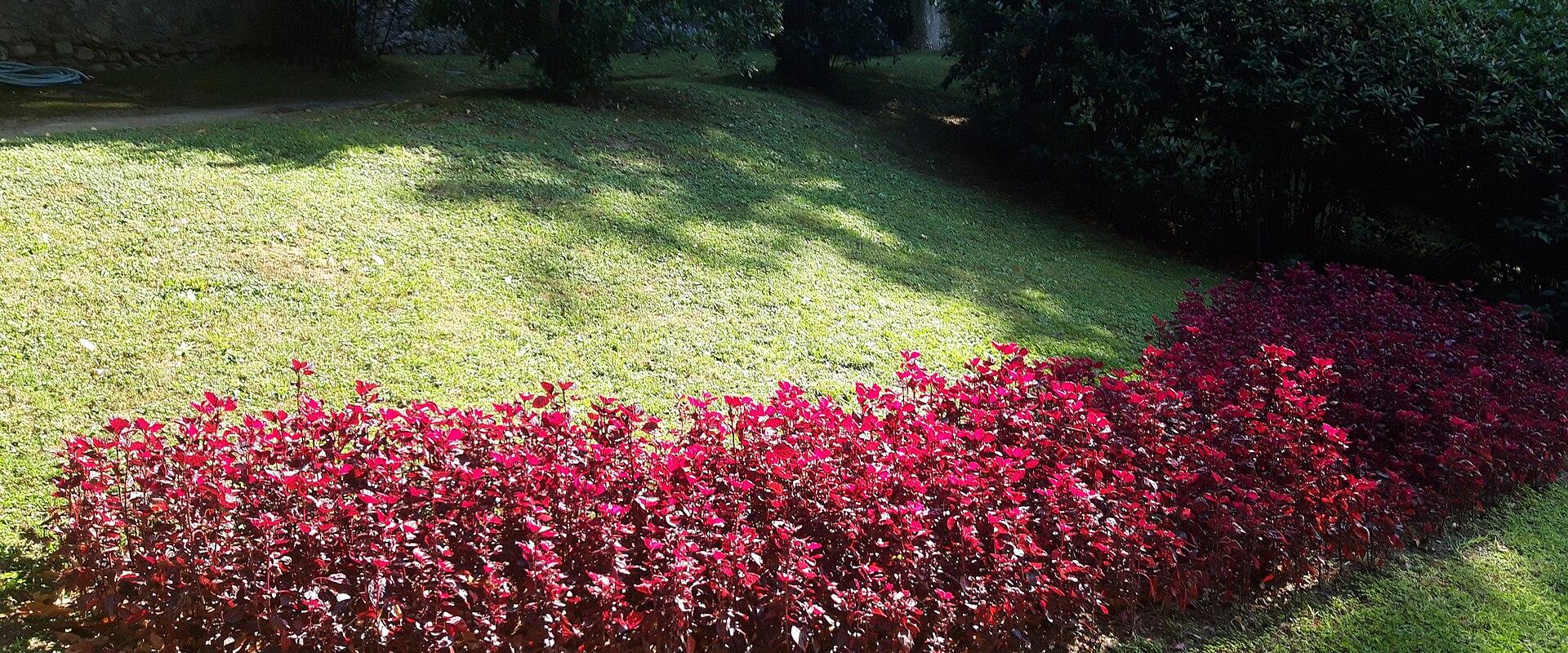 Giardino Botanico Villa Melzi