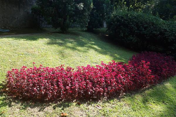 Giardino Botanico Villa Melzi