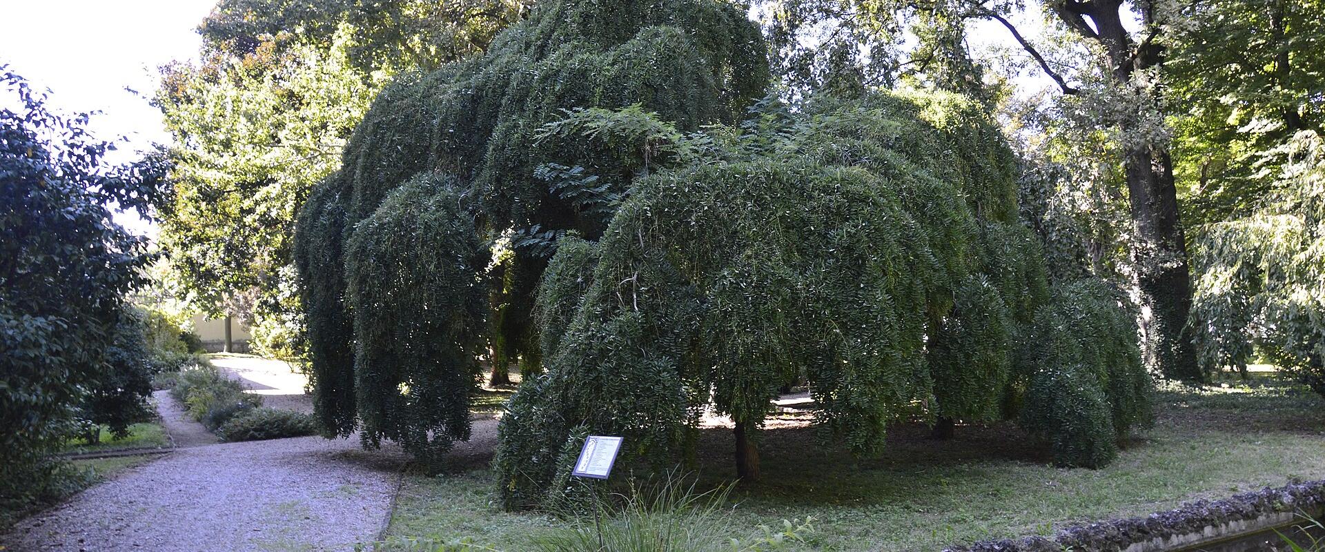 Giardino Botanico