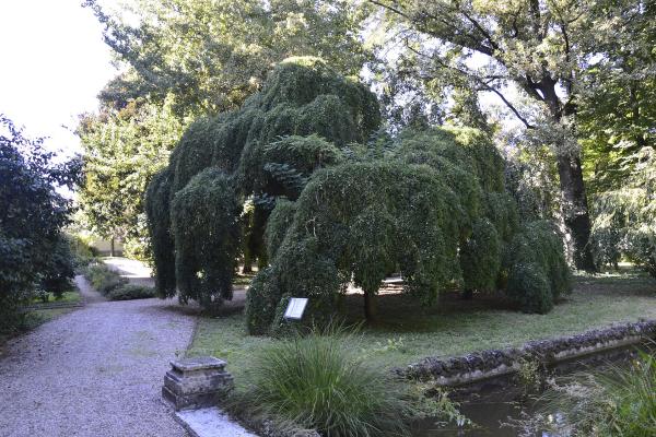 Giardino Botanico